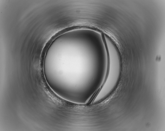 X0000093470880200710261040