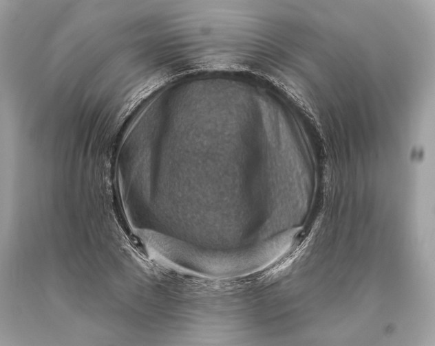 X0000093470881200710261040