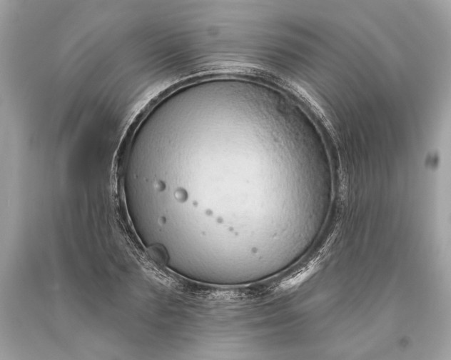 X0000093470883200710261040