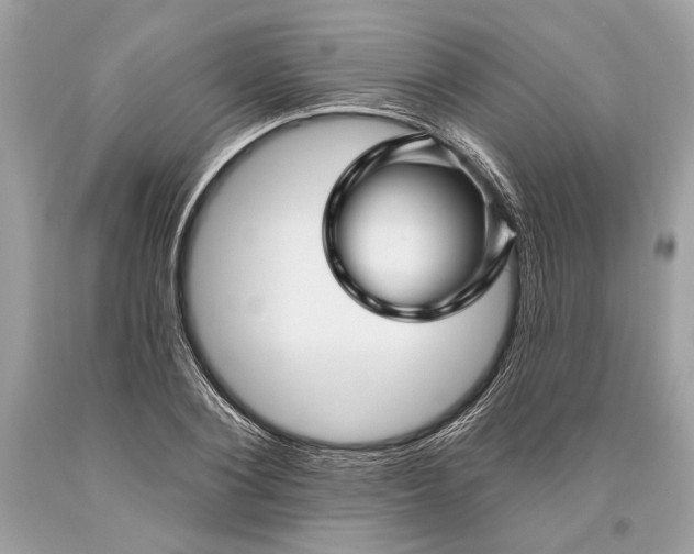 X0000093470884200710261040