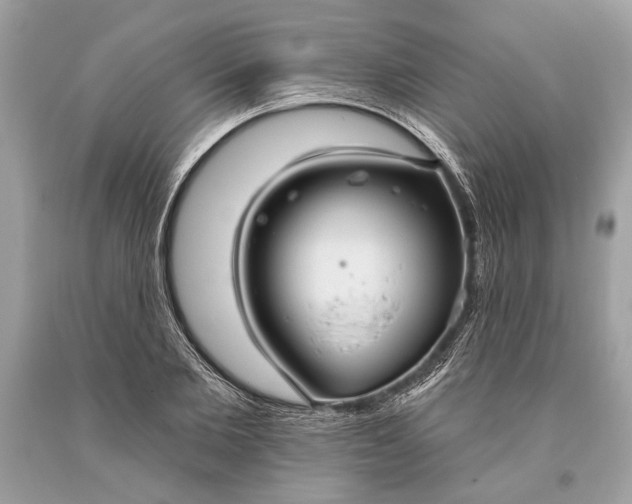 X0000093470885200710261040