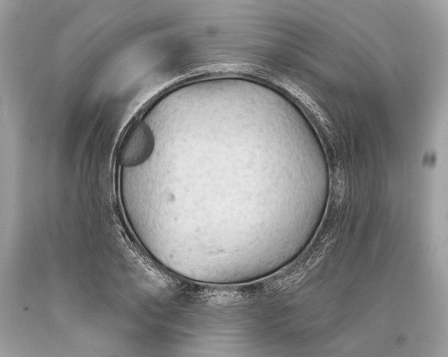 X0000093470886200710261040