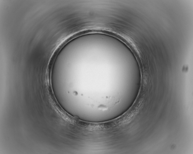 X0000093470887200710261040