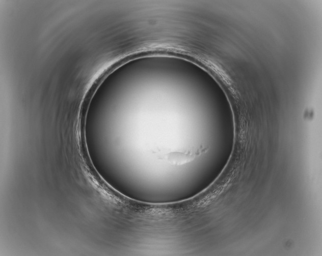 X0000093470888200710261040