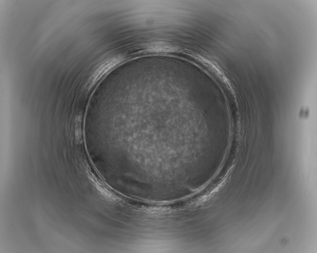 X0000093470889200710261040