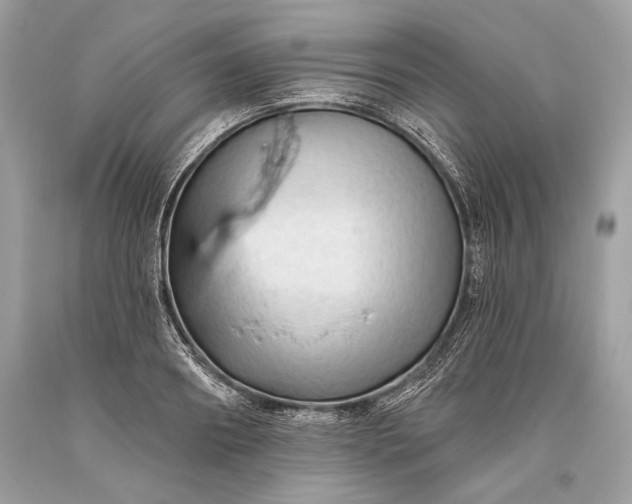 X0000093470890200710261040