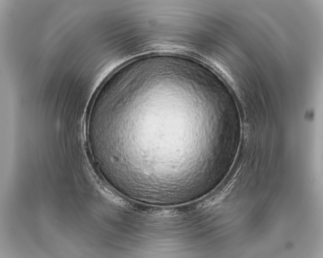 X0000093470891200710261040