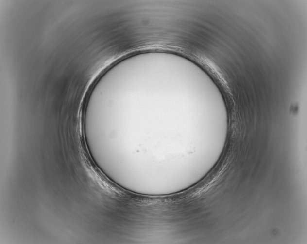 X0000093470892200710261040