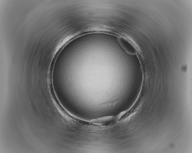 X0000093470893200710261040