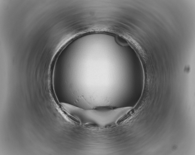 X0000093470894200710261040