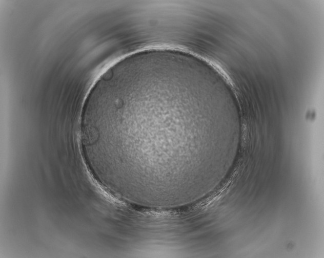 X0000093470895200710261040