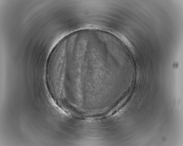 X0000093470896200710261040