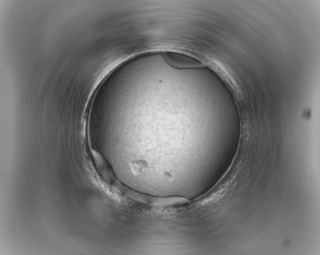 X0000093470900200710261040