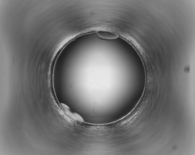 X0000093470902200710261040