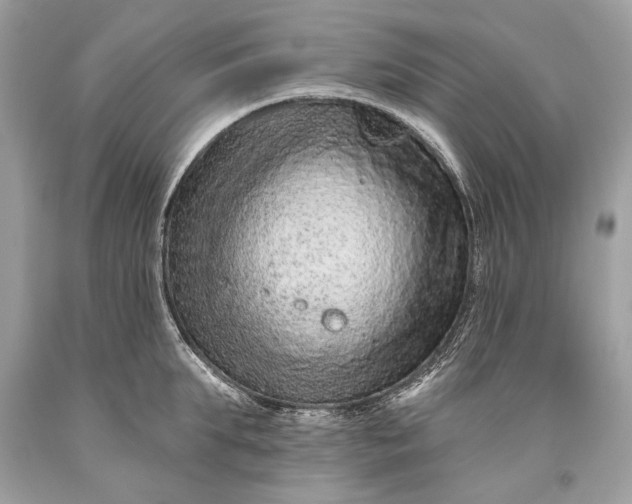 X0000093470903200710261040