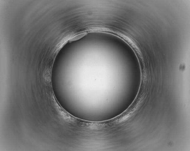 X0000093470905200710261040