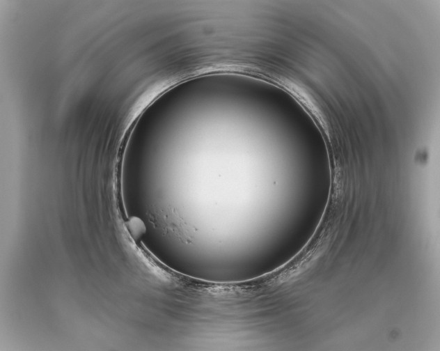 X0000093470906200710261040