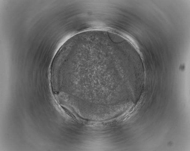 X0000093470907200710261040