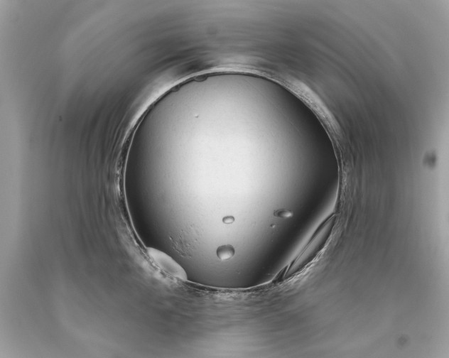 X0000093470908200710261040