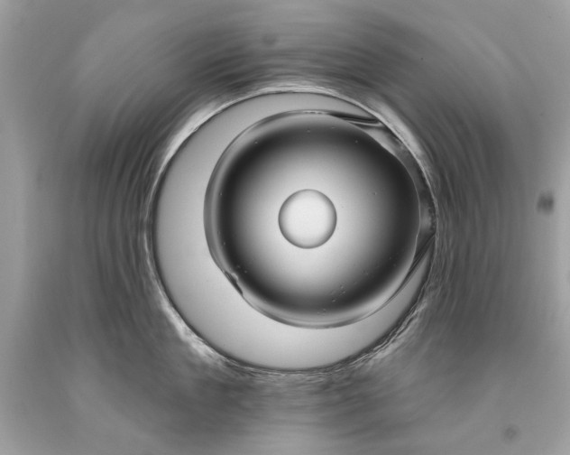 X0000093470909200710261040