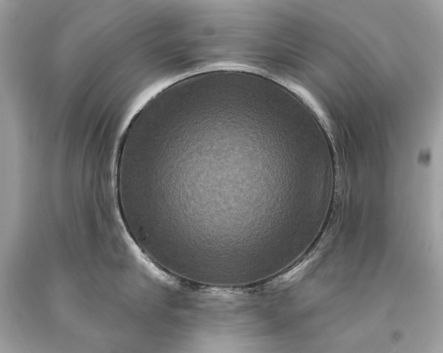 X0000093470910200710261040