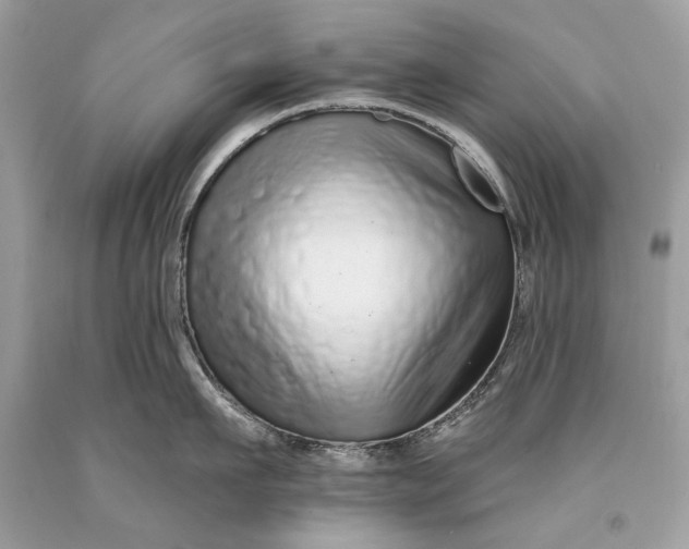 X0000093470911200710261040