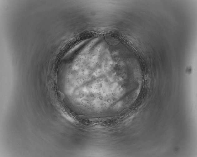 X0000093470913200710261039