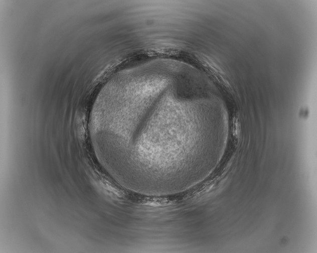 X0000093470915200710261039