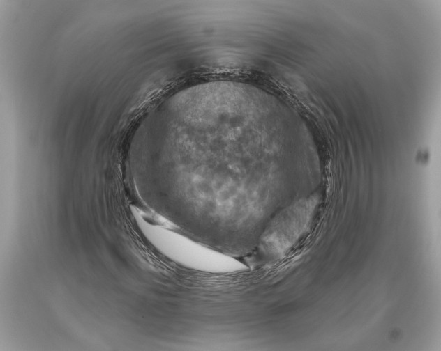 X0000093470916200710261039