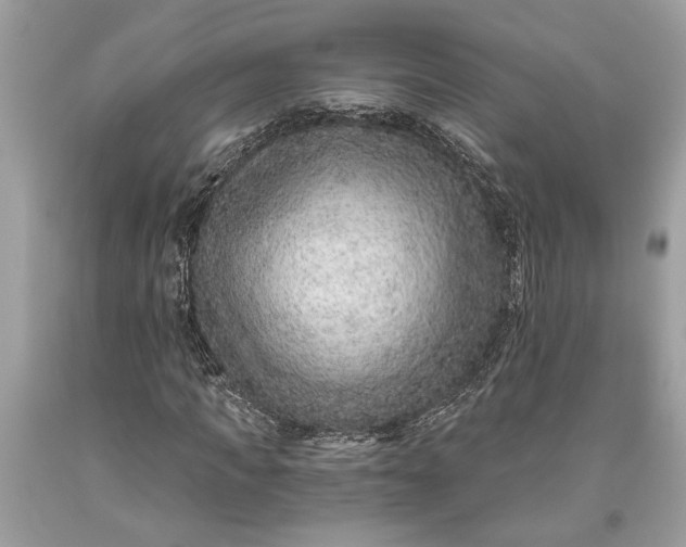 X0000093470917200710261039