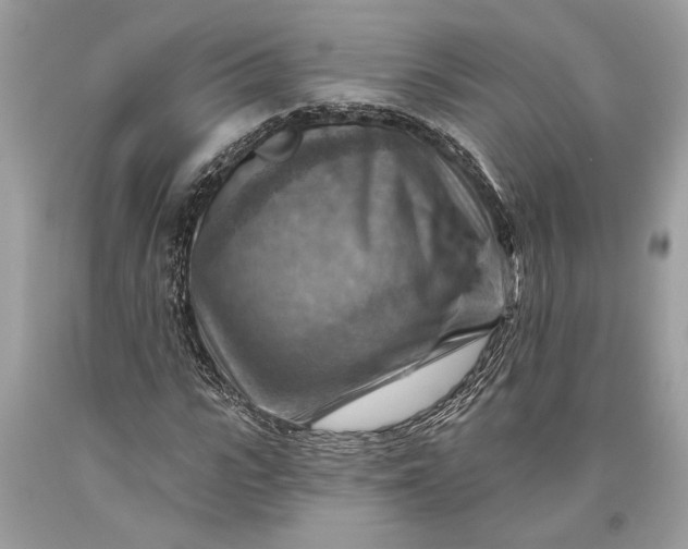 X0000093470919200710261039