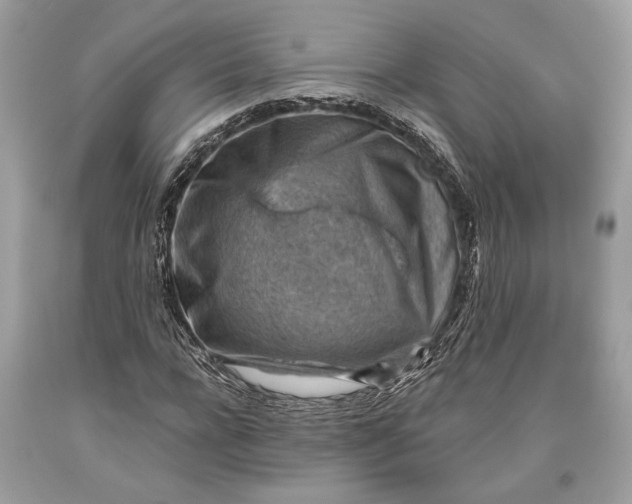 X0000093470920200710261039