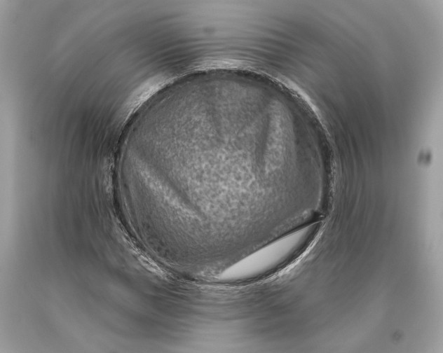 X0000093470921200710261039