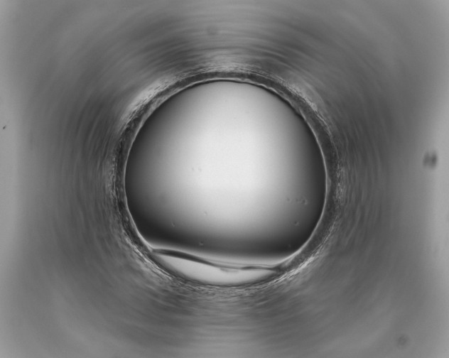 X0000093470922200710261039