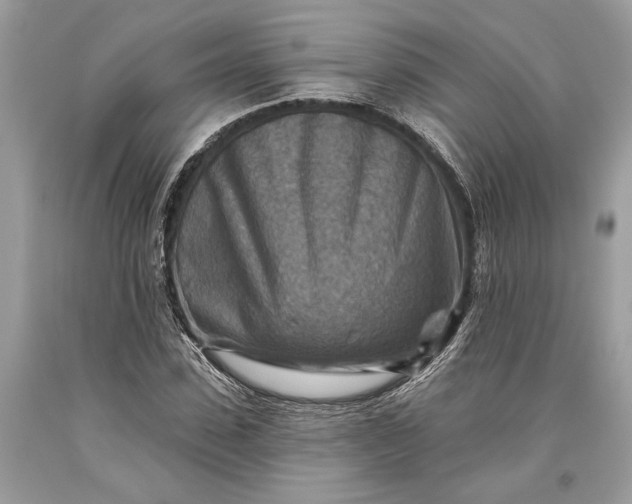 X0000093470923200710261039