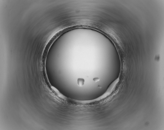 X0000093470924200710261039