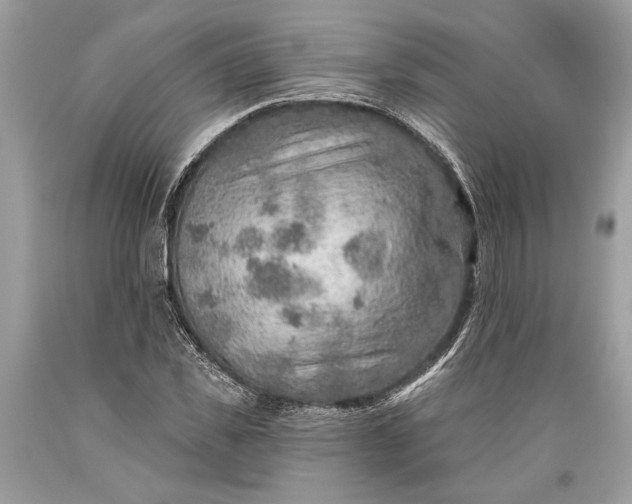 X0000093470925200710261039