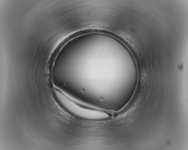 X0000093470926200710261039