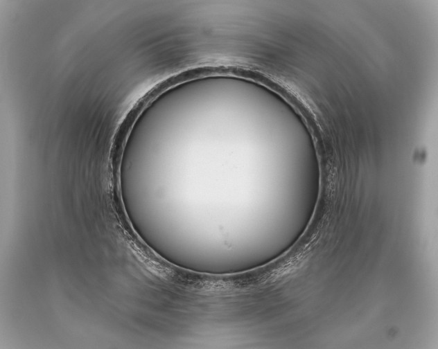 X0000093470927200710261039