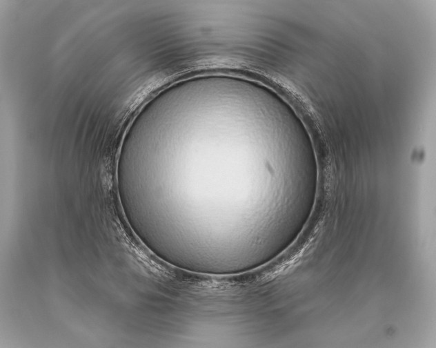 X0000093470929200710261039