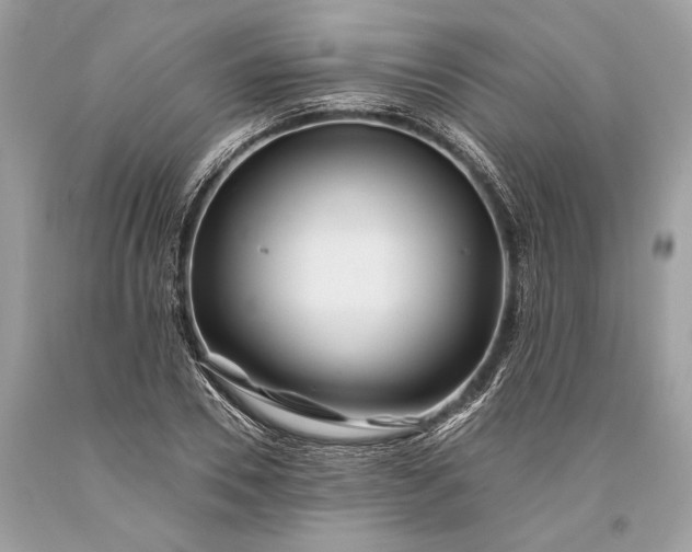 X0000093470930200710261039