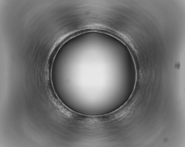 X0000093470931200710261039