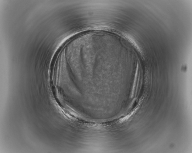 X0000093470932200710261039