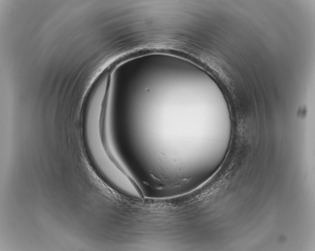 X0000093470934200710261039