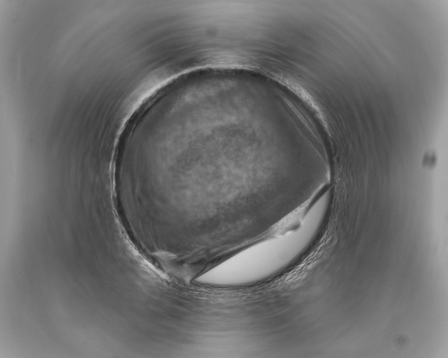 X0000093470935200710261039