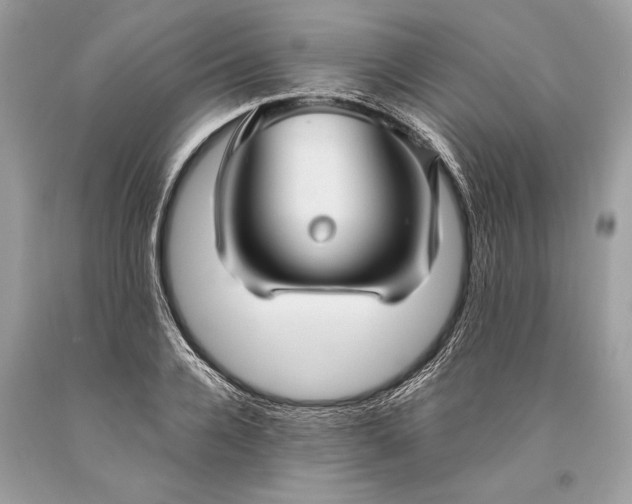 X0000093470936200710261039