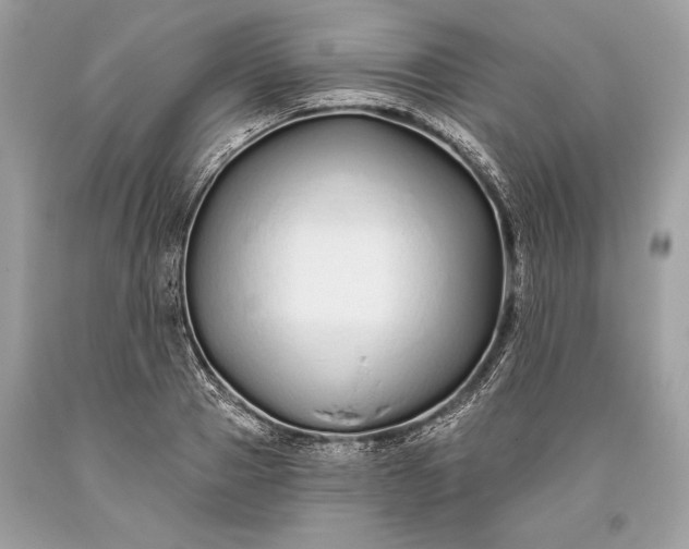 X0000093470937200710261039