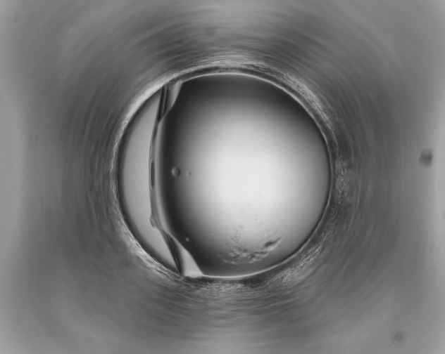 X0000093470939200710261040