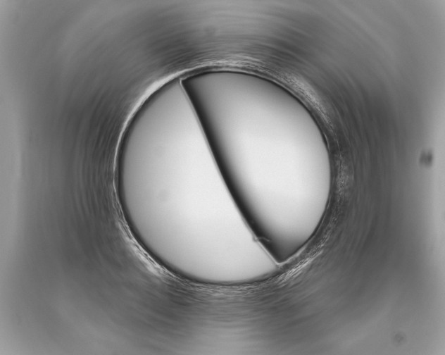 X0000093470940200710261040