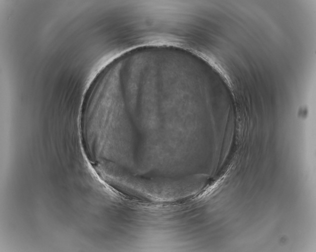 X0000093470943200710261040